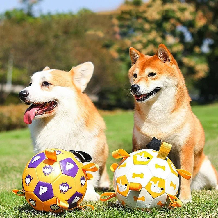🐾 Dog & You™ Plush Soccer Ball — Bite-Resistant with Cute Characters - Dog & You