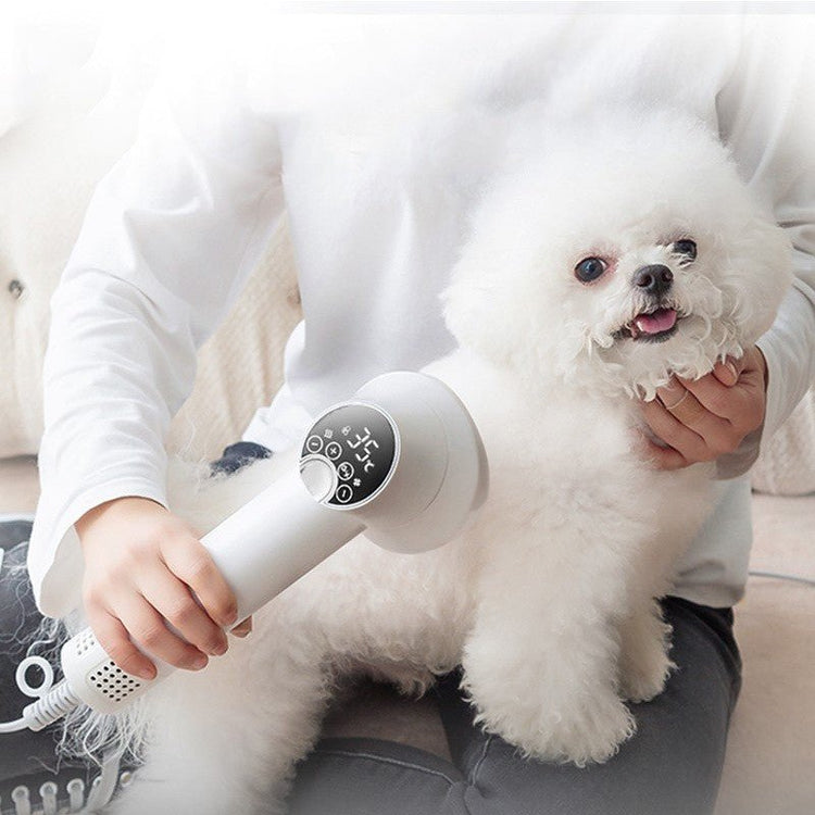 🐾 Dog & You™ Quiet Grooming Dryer Brush - Dog & You