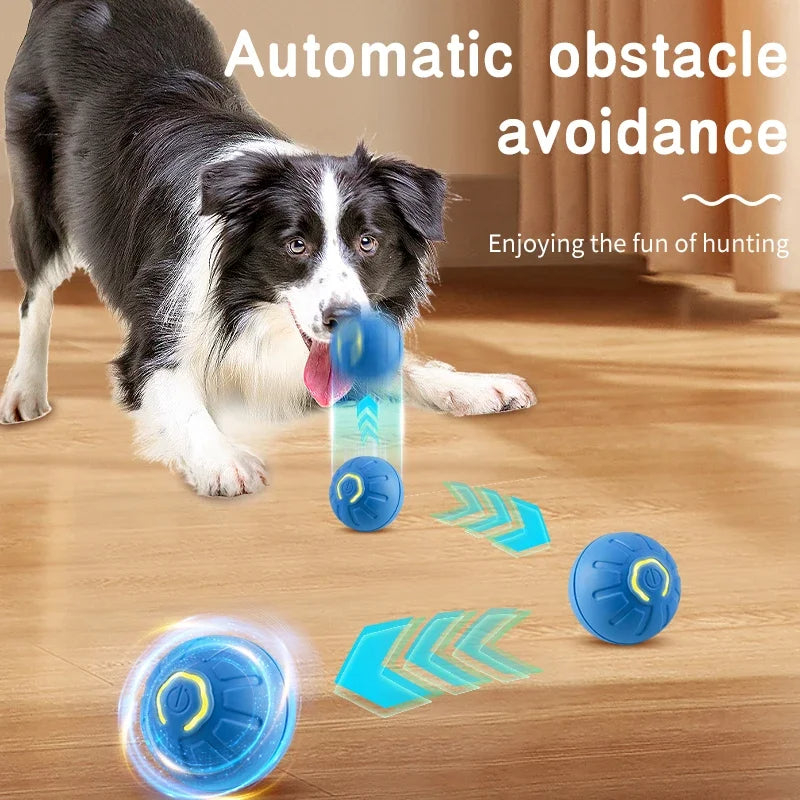 🐾 Dog & You™ Automatic Bounce Ball