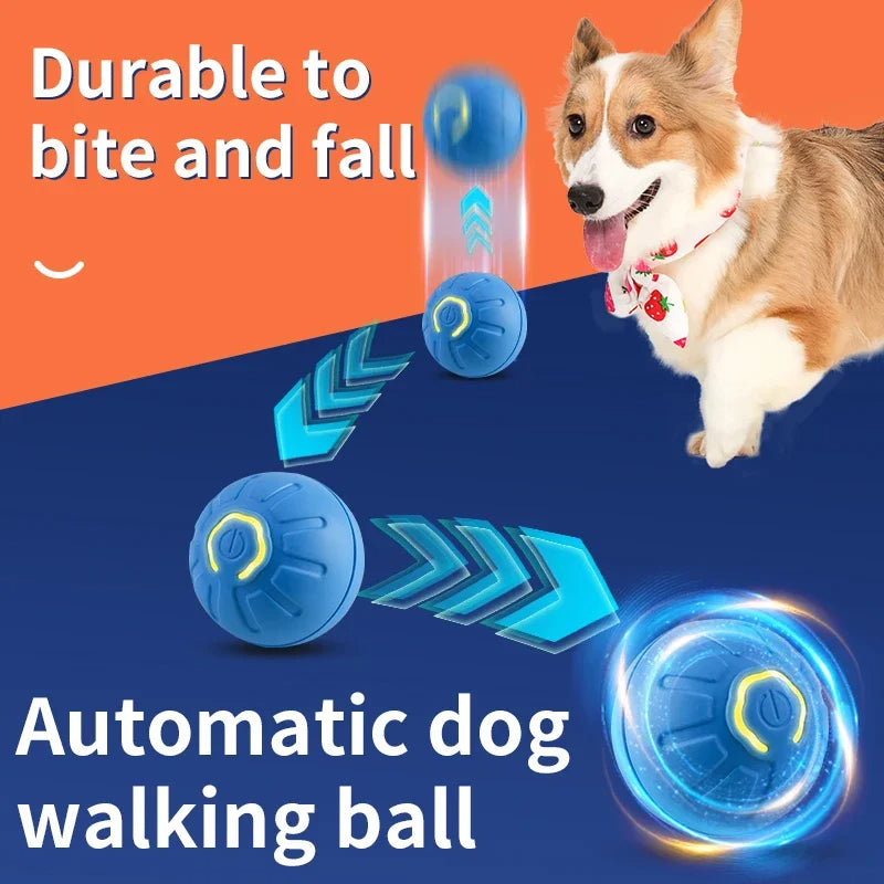 🐾 Dog & You™ Automatic Bounce Ball