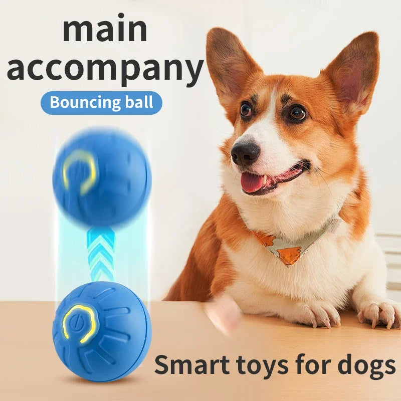 🐾 Dog & You™ Automatic Bounce Ball
