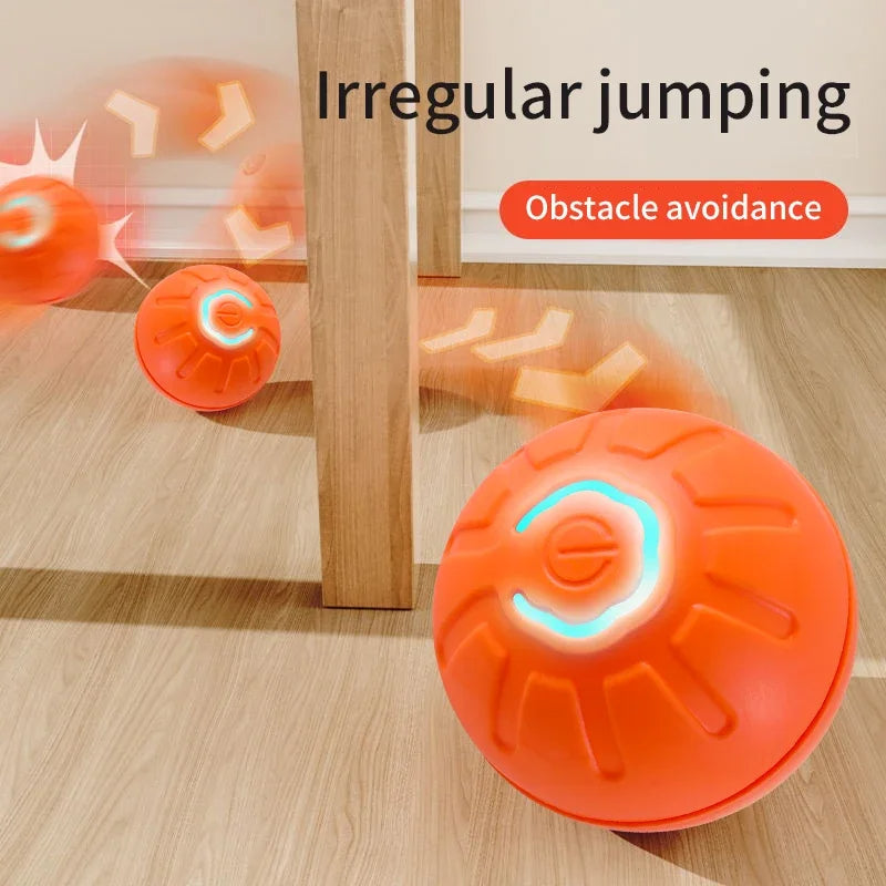 🐾 Dog & You™ Automatic Bounce Ball
