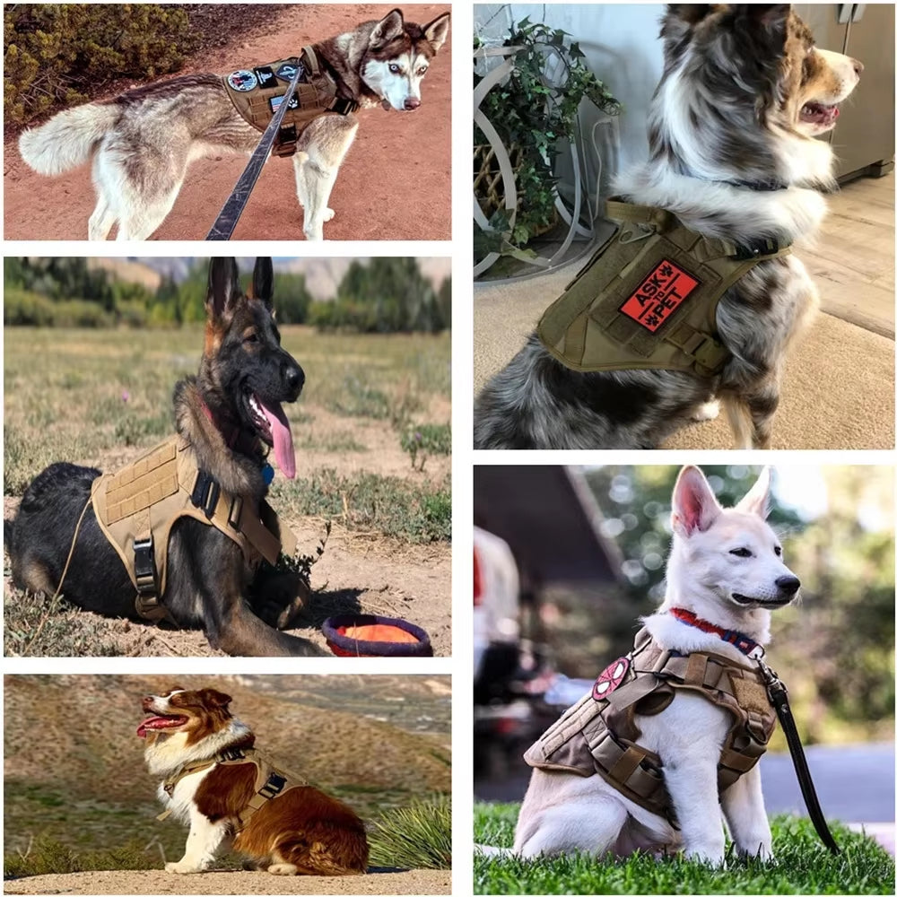 🐾 Dog & You™ Tactical Dog Harness