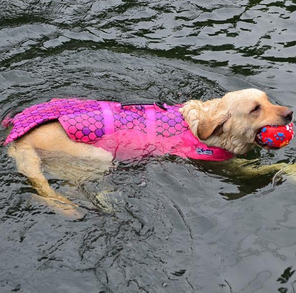 Outdoor Life Jackets Pet Swimming Clothes