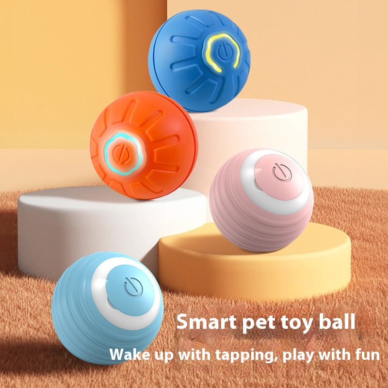 🐾 Dog & You™ Automatic Bounce Ball