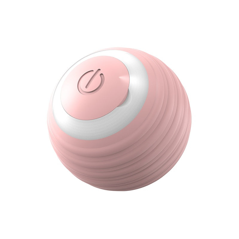 🐾 Dog & You™ Automatic Bounce Ball