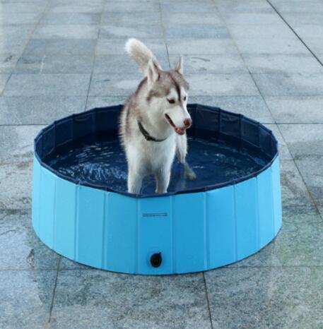 🐾 Dog & You™ Foldable Pet Pool