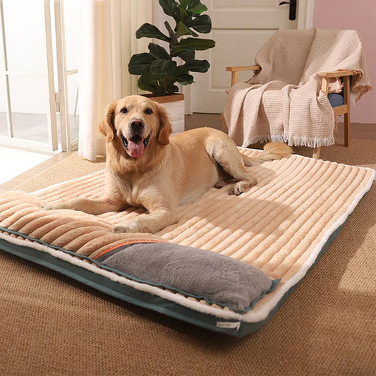 Large Dog Bed with Soft Cushion