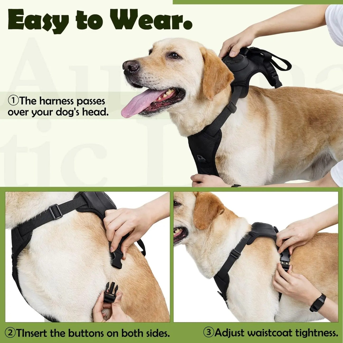🐕 All-in-One Harness and Leash Set – Safety, Comfort & Style