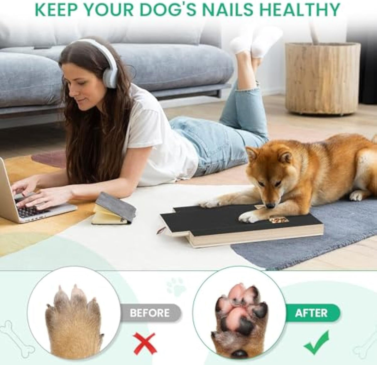 Dog Nail Scratch Board, Dog File Board Dog Nail Grinder Board Scratch Pad For Nails With Treat Box Pets Nails Trimming For All Dog Sizes - Dog & You