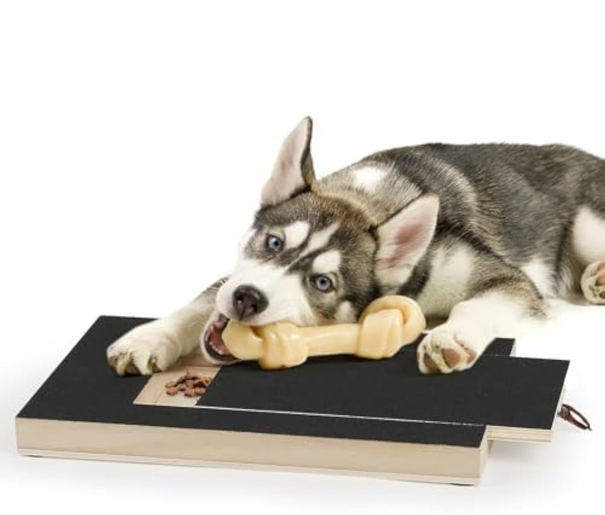 Dog Nail Scratch Board, Dog File Board Dog Nail Grinder Board Scratch Pad For Nails With Treat Box Pets Nails Trimming For All Dog Sizes - Dog & You
