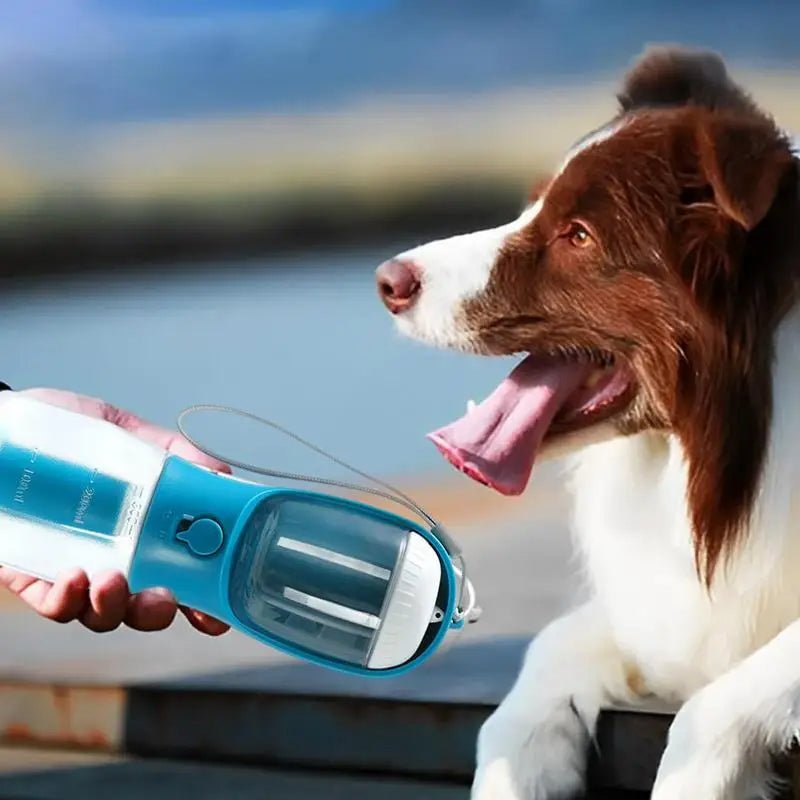 🐾 Dog & You™ 3-in-1 Travel Pet Bottle - Dog & You