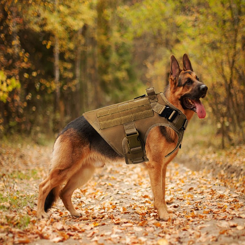 🐾 Dog & You™ Adventure Tactical Vest - Dog & You