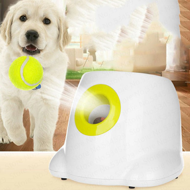 🐾 Dog & You™ Automatic Ball Launcher - Dog & You