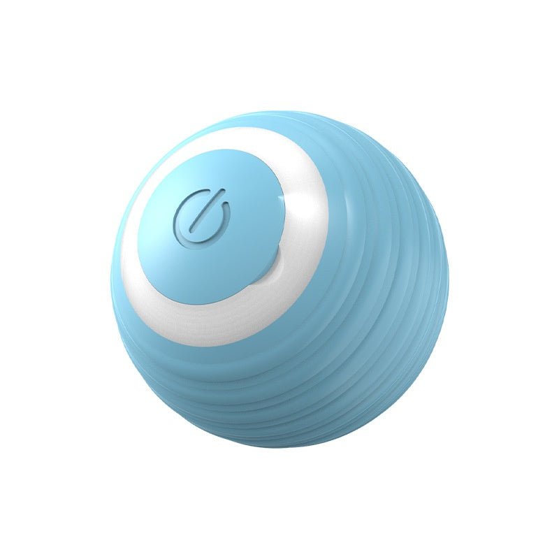 🐾 Dog & You™ Automatic Bounce Ball - Dog & You