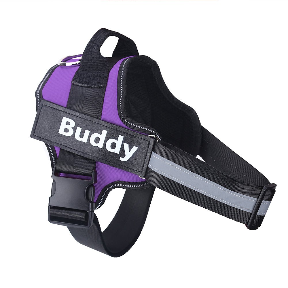 🐾 Dog & You™ Colorful No-Pull Harness — Reflective & Breathable - Dog & You