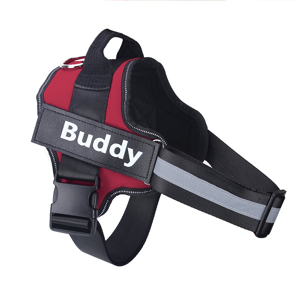 🐾 Dog & You™ Colorful No-Pull Harness — Reflective & Breathable - Dog & You