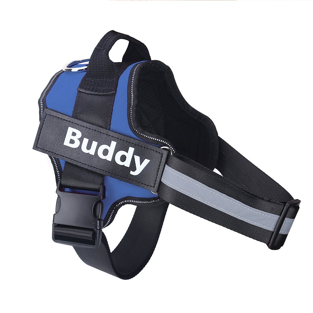 🐾 Dog & You™ Colorful No-Pull Harness — Reflective & Breathable - Dog & You