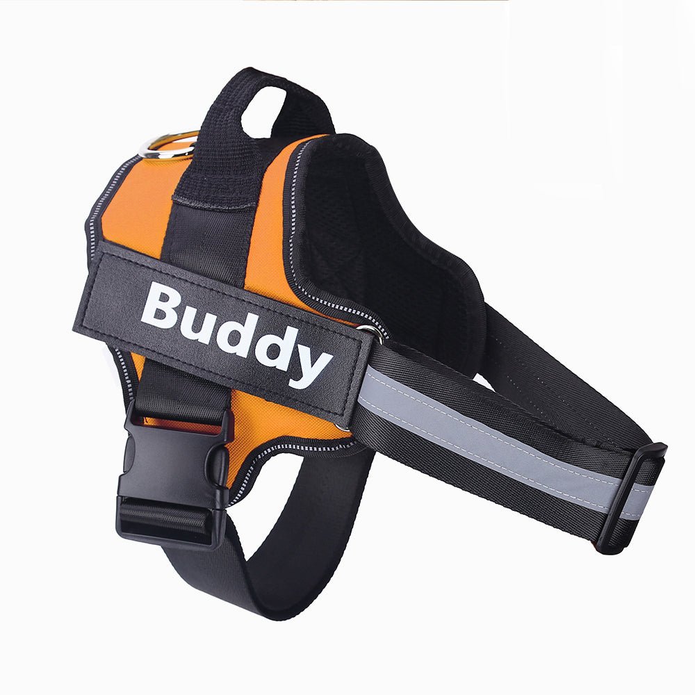 🐾 Dog & You™ Colorful No-Pull Harness — Reflective & Breathable - Dog & You