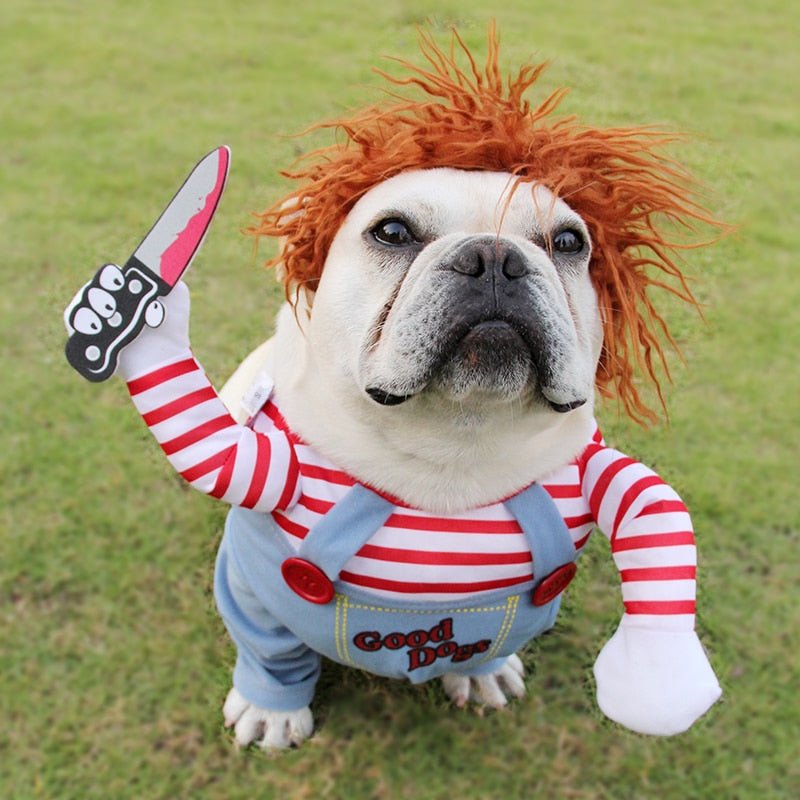 🐾 Dog & You™ Halloween Dog Costume - Dog & You