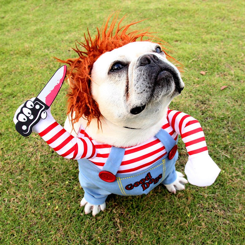 🐾 Dog & You™ Halloween Dog Costume - Dog & You