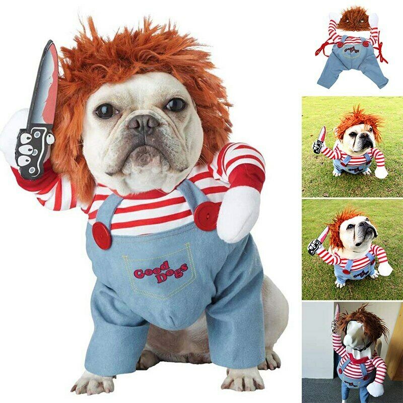 🐾 Dog & You™ Halloween Dog Costume - Dog & You