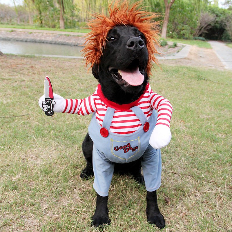 🐾 Dog & You™ Halloween Dog Costume - Dog & You