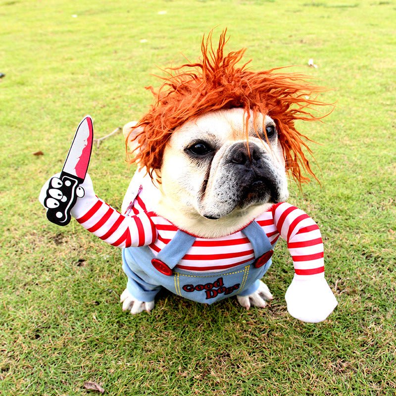 🐾 Dog & You™ Halloween Dog Costume - Dog & You