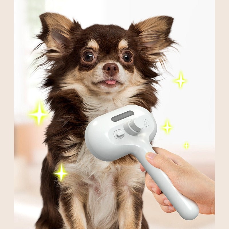 🐾 Dog & You™ Hydrating Grooming Brush - Dog & You
