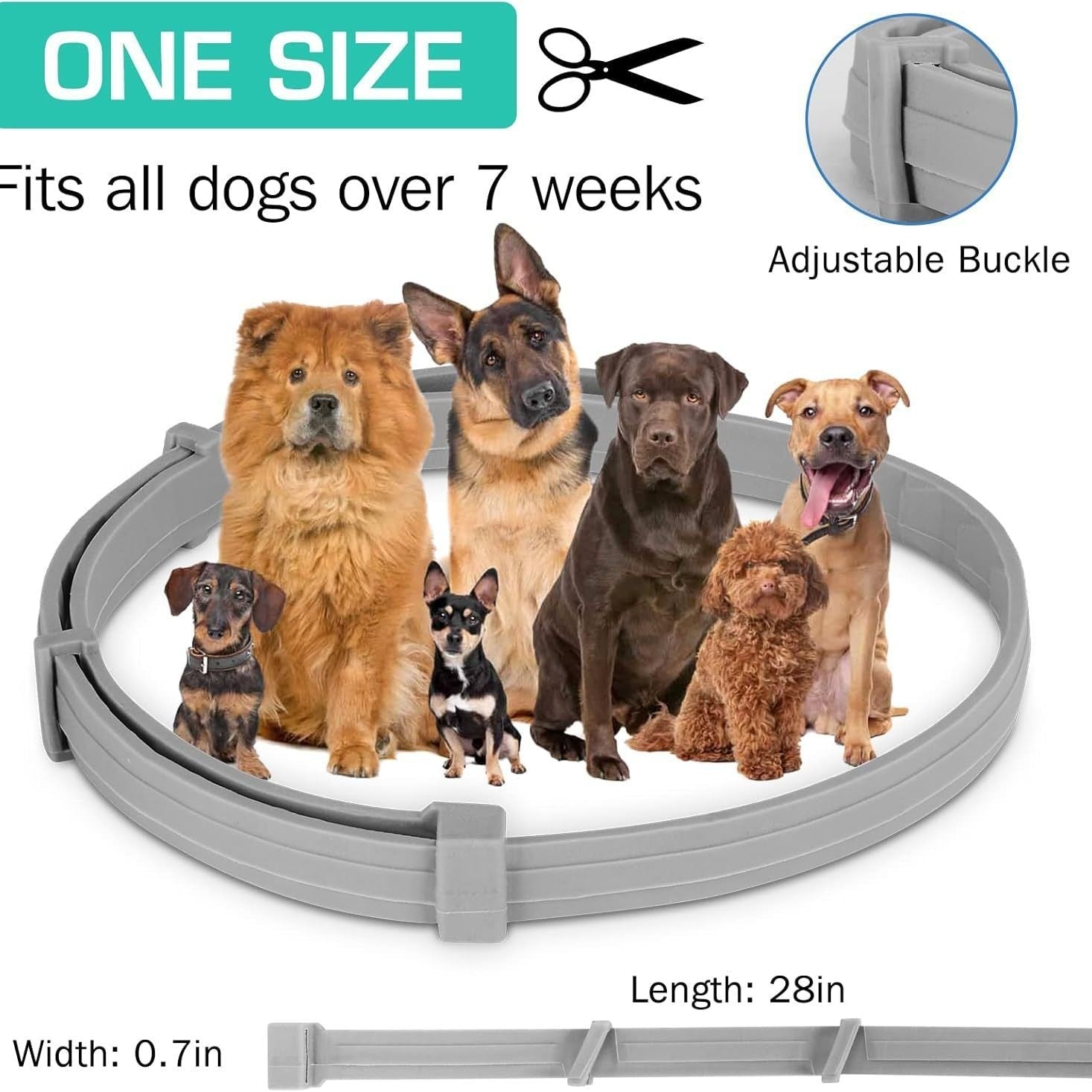 🐾 Dog & You™ Insect Repellent Collar - Dog & You