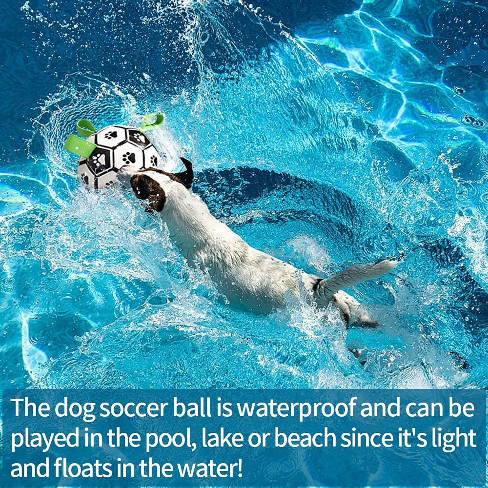 🐾 Dog & You™ Interactive Dog Football - Dog & You