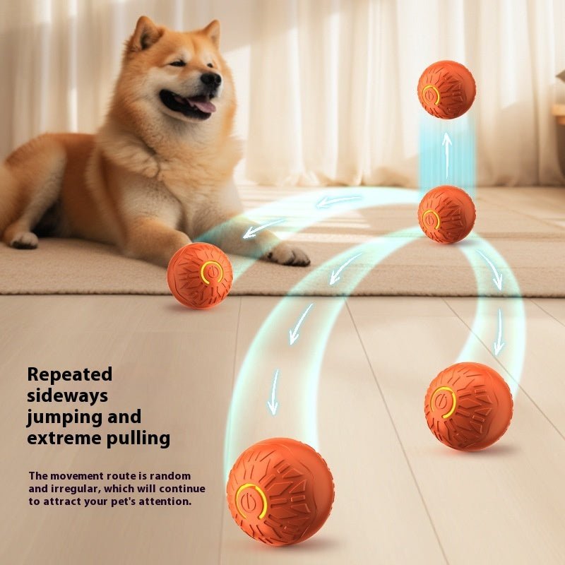 🐾 Dog & You™ Interactive Motion Ball - Dog & You