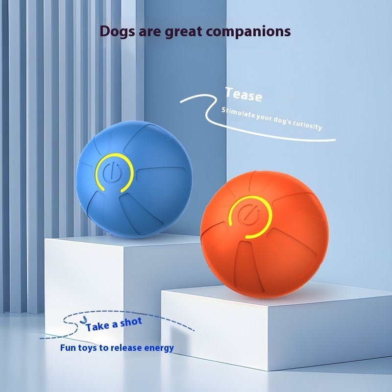 🐾 Dog & You™ Interactive Motion Ball - Dog & You