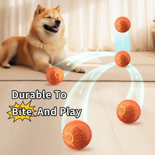 🐾 Dog & You™ Interactive Motion Ball - Dog & You