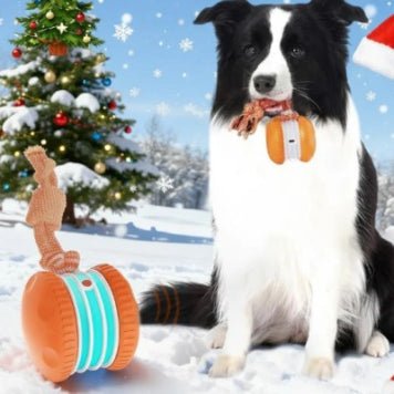 🐾 Dog & You™ Motion Rolling Ball — Bird Call Sound, USB Rechargeable - Dog & You