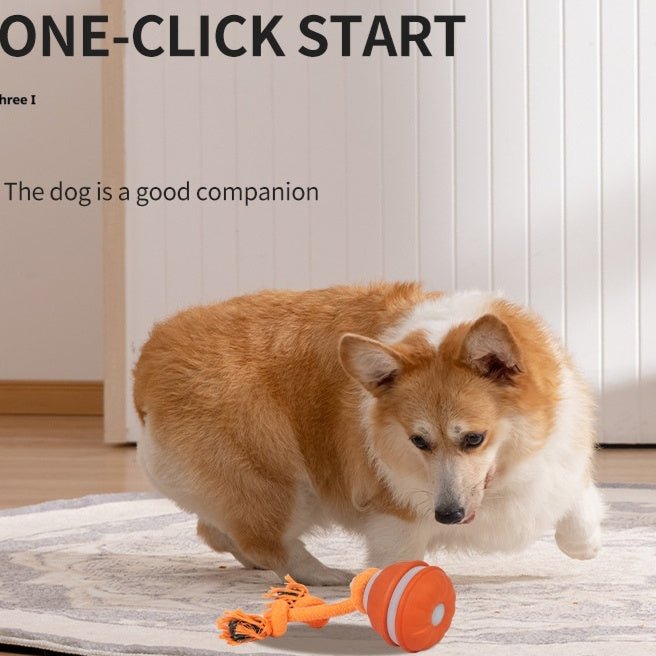 🐾 Dog & You™ Motion Rolling Ball — Bird Call Sound, USB Rechargeable - Dog & You