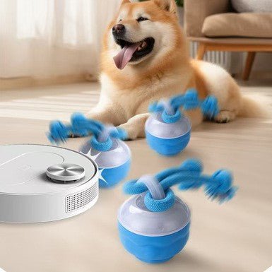 🐾 Dog & You™ Motion Rolling Ball — Bird Call Sound, USB Rechargeable - Dog & You