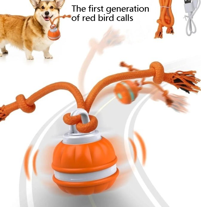 🐾 Dog & You™ Motion Rolling Ball — Bird Call Sound, USB Rechargeable - Dog & You