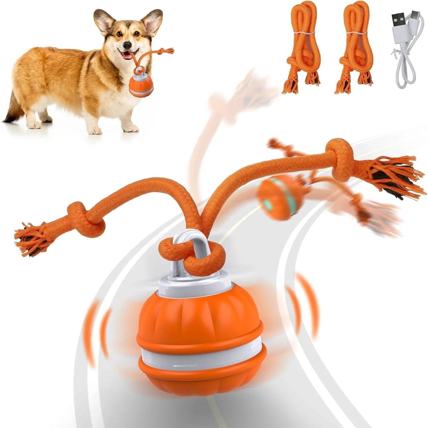 🐾 Dog & You™ Motion Rolling Ball — Bird Call Sound, USB Rechargeable - Dog & You