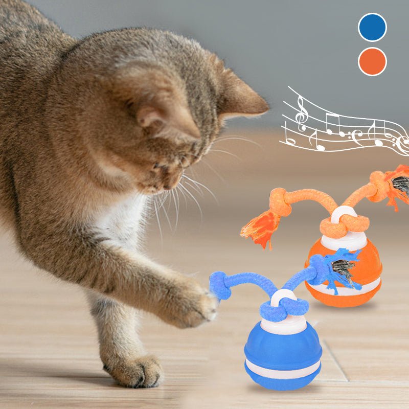 🐾 Dog & You™ Motion Rolling Ball — Bird Call Sound, USB Rechargeable - Dog & You