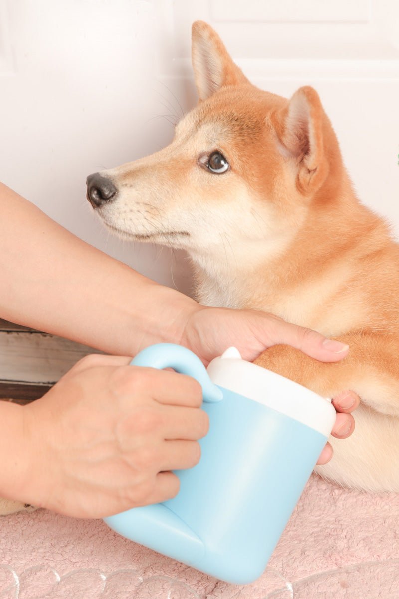 🐾 Dog & You™ Paw Cleaner Cup - Dog & You