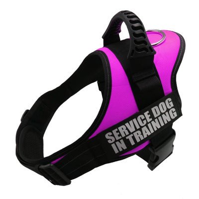 🐾 Dog & You™ Personalized No-Pull Harness - Dog & You