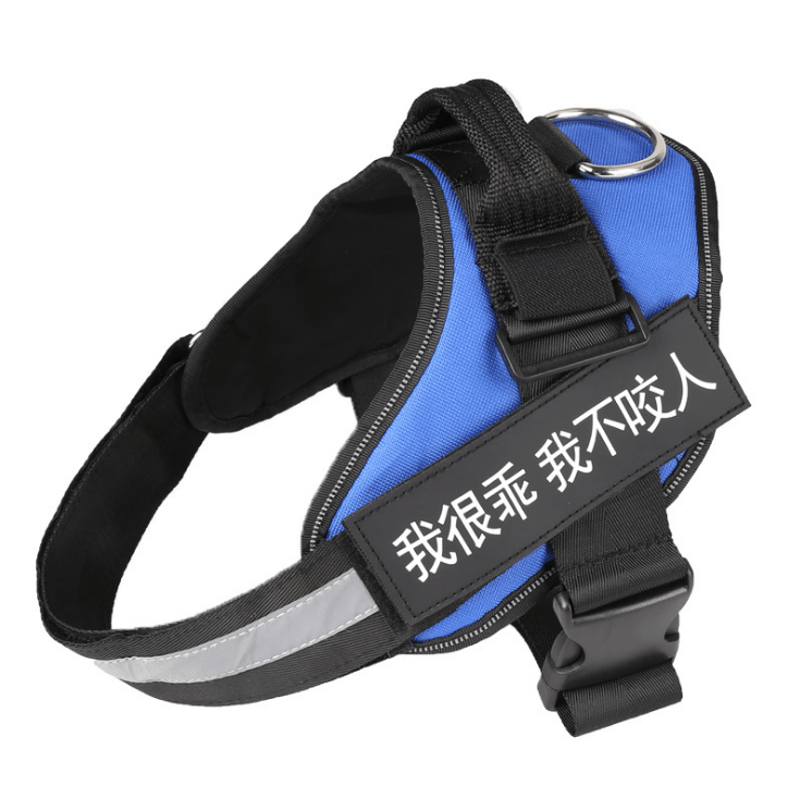 🐾 Dog & You™ Personalized No-Pull Harness - Dog & You