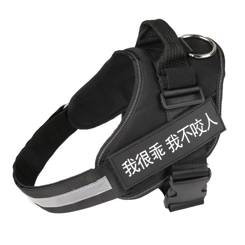 🐾 Dog & You™ Personalized No-Pull Harness - Dog & You