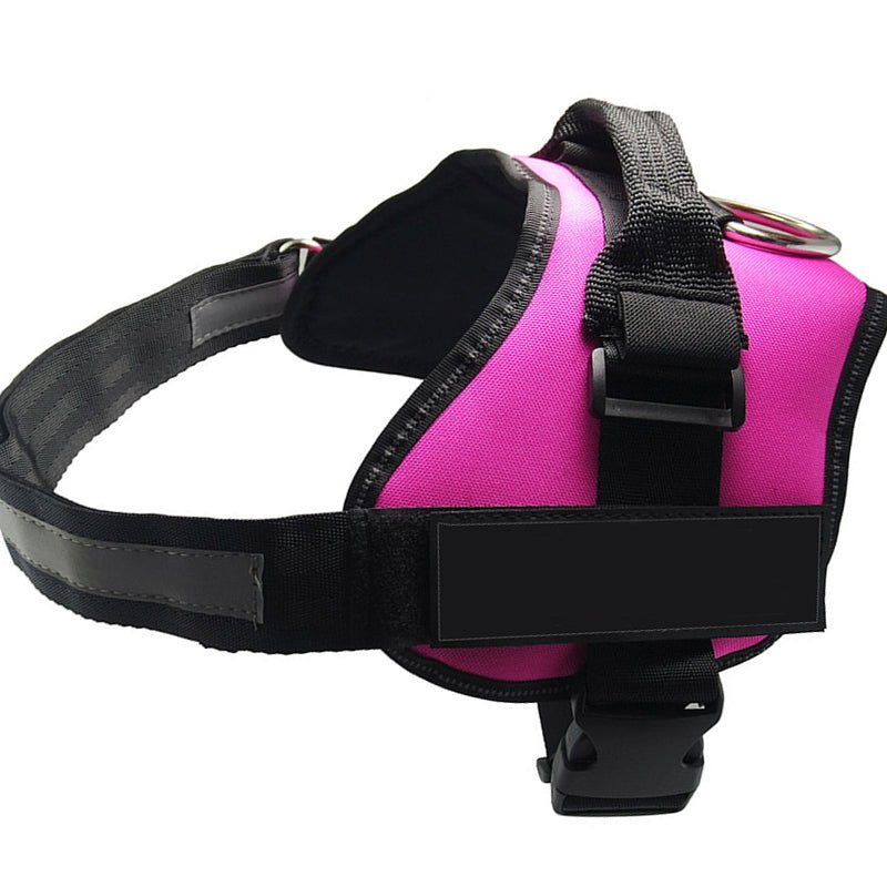 🐾 Dog & You™ Personalized No-Pull Harness - Dog & You