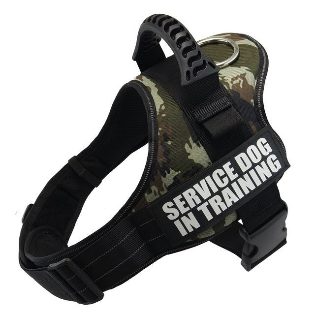 🐾 Dog & You™ Personalized No-Pull Harness - Dog & You
