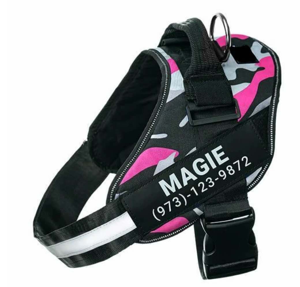 🐾 Dog & You™ Personalized No-Pull Harness - Dog & You