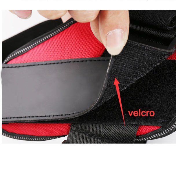 🐾 Dog & You™ Personalized No-Pull Harness - Dog & You