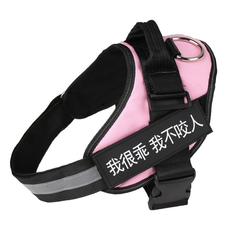 🐾 Dog & You™ Personalized No-Pull Harness - Dog & You