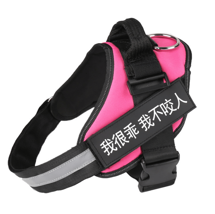 🐾 Dog & You™ Personalized No-Pull Harness - Dog & You